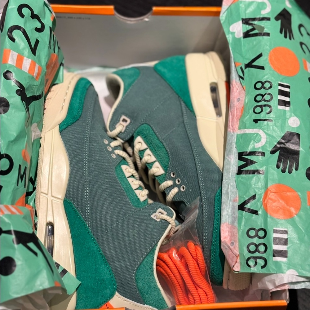 Nina Chanel Abney Jordan 3’s